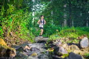 BIB: 
                            <button type="button" onclick="openModal(26446476)" class="btn btn-primary btn-sm float-right btn-popup" data-toggle="modal" data-target=".modal-high-quality">
                        <i class="fas fa-shopping-cart"></i> Add to Cart
                    </button>
                                            <button type="button" onclick="isThisMe(26446476, true)" class="btn btn-success btn-sm float-right btn-popup btn-isme hidden" data-toggle="tooltip" data-placement="bottom" title="นี่คือรูปของคุณใช่ไหม คลิกที่นี่เพื่อเอาเข้าอัลบั้ม">
                        <i class="fas fa-plus"></i> Add to album
                    </button>
                    <button type="button" onclick="isThisMe(26446476, false)" class="btn btn-warning btn-sm float-right btn-popup btn-isnotme hidden">
                        <i class="fas fa-ban"></i> Remove from album
                    </button>