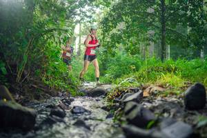 BIB: 
                            <button type="button" onclick="openModal(26447930)" class="btn btn-primary btn-sm float-right btn-popup" data-toggle="modal" data-target=".modal-high-quality">
                        <i class="fas fa-shopping-cart"></i> Add to Cart
                    </button>
                                            <button type="button" onclick="isThisMe(26447930, true)" class="btn btn-success btn-sm float-right btn-popup btn-isme hidden" data-toggle="tooltip" data-placement="bottom" title="นี่คือรูปของคุณใช่ไหม คลิกที่นี่เพื่อเอาเข้าอัลบั้ม">
                        <i class="fas fa-plus"></i> Add to album
                    </button>
                    <button type="button" onclick="isThisMe(26447930, false)" class="btn btn-warning btn-sm float-right btn-popup btn-isnotme hidden">
                        <i class="fas fa-ban"></i> Remove from album
                    </button>