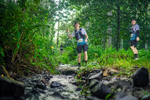 BIB: 
                            <button type="button" onclick="openModal(26448161)" class="btn btn-primary btn-sm float-right btn-popup" data-toggle="modal" data-target=".modal-high-quality">
                        <i class="fas fa-shopping-cart"></i> Add to Cart
                    </button>
                                            <button type="button" onclick="isThisMe(26448161, true)" class="btn btn-success btn-sm float-right btn-popup btn-isme hidden" data-toggle="tooltip" data-placement="bottom" title="นี่คือรูปของคุณใช่ไหม คลิกที่นี่เพื่อเอาเข้าอัลบั้ม">
                        <i class="fas fa-plus"></i> Add to album
                    </button>
                    <button type="button" onclick="isThisMe(26448161, false)" class="btn btn-warning btn-sm float-right btn-popup btn-isnotme hidden">
                        <i class="fas fa-ban"></i> Remove from album
                    </button>