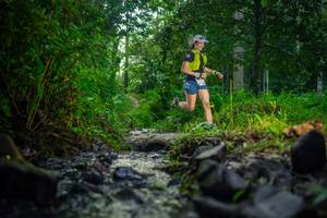 BIB: 
                            <button type="button" onclick="openModal(26446899)" class="btn btn-primary btn-sm float-right btn-popup" data-toggle="modal" data-target=".modal-high-quality">
                        <i class="fas fa-shopping-cart"></i> Add to Cart
                    </button>
                                            <button type="button" onclick="isThisMe(26446899, true)" class="btn btn-success btn-sm float-right btn-popup btn-isme hidden" data-toggle="tooltip" data-placement="bottom" title="นี่คือรูปของคุณใช่ไหม คลิกที่นี่เพื่อเอาเข้าอัลบั้ม">
                        <i class="fas fa-plus"></i> Add to album
                    </button>
                    <button type="button" onclick="isThisMe(26446899, false)" class="btn btn-warning btn-sm float-right btn-popup btn-isnotme hidden">
                        <i class="fas fa-ban"></i> Remove from album
                    </button>