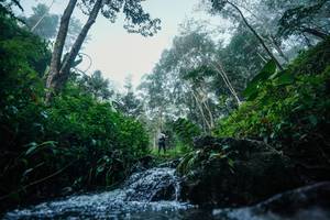 BIB: 
                            <button type="button" onclick="openModal(26501324)" class="btn btn-primary btn-sm float-right btn-popup" data-toggle="modal" data-target=".modal-high-quality">
                        <i class="fas fa-shopping-cart"></i> Add to Cart
                    </button>
                                            <button type="button" onclick="isThisMe(26501324, true)" class="btn btn-success btn-sm float-right btn-popup btn-isme hidden" data-toggle="tooltip" data-placement="bottom" title="นี่คือรูปของคุณใช่ไหม คลิกที่นี่เพื่อเอาเข้าอัลบั้ม">
                        <i class="fas fa-plus"></i> Add to album
                    </button>
                    <button type="button" onclick="isThisMe(26501324, false)" class="btn btn-warning btn-sm float-right btn-popup btn-isnotme hidden">
                        <i class="fas fa-ban"></i> Remove from album
                    </button>