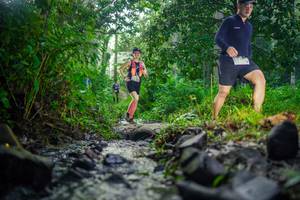 BIB: 
                            <button type="button" onclick="openModal(26447640)" class="btn btn-primary btn-sm float-right btn-popup" data-toggle="modal" data-target=".modal-high-quality">
                        <i class="fas fa-shopping-cart"></i> Add to Cart
                    </button>
                                            <button type="button" onclick="isThisMe(26447640, true)" class="btn btn-success btn-sm float-right btn-popup btn-isme hidden" data-toggle="tooltip" data-placement="bottom" title="นี่คือรูปของคุณใช่ไหม คลิกที่นี่เพื่อเอาเข้าอัลบั้ม">
                        <i class="fas fa-plus"></i> Add to album
                    </button>
                    <button type="button" onclick="isThisMe(26447640, false)" class="btn btn-warning btn-sm float-right btn-popup btn-isnotme hidden">
                        <i class="fas fa-ban"></i> Remove from album
                    </button>