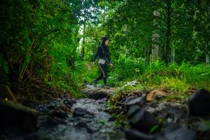 BIB: 
                            <button type="button" onclick="openModal(26450213)" class="btn btn-primary btn-sm float-right btn-popup" data-toggle="modal" data-target=".modal-high-quality">
                        <i class="fas fa-shopping-cart"></i> Add to Cart
                    </button>
                                            <button type="button" onclick="isThisMe(26450213, true)" class="btn btn-success btn-sm float-right btn-popup btn-isme hidden" data-toggle="tooltip" data-placement="bottom" title="นี่คือรูปของคุณใช่ไหม คลิกที่นี่เพื่อเอาเข้าอัลบั้ม">
                        <i class="fas fa-plus"></i> Add to album
                    </button>
                    <button type="button" onclick="isThisMe(26450213, false)" class="btn btn-warning btn-sm float-right btn-popup btn-isnotme hidden">
                        <i class="fas fa-ban"></i> Remove from album
                    </button>