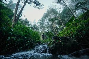 BIB: 
                            <button type="button" onclick="openModal(26501320)" class="btn btn-primary btn-sm float-right btn-popup" data-toggle="modal" data-target=".modal-high-quality">
                        <i class="fas fa-shopping-cart"></i> Add to Cart
                    </button>
                                            <button type="button" onclick="isThisMe(26501320, true)" class="btn btn-success btn-sm float-right btn-popup btn-isme hidden" data-toggle="tooltip" data-placement="bottom" title="นี่คือรูปของคุณใช่ไหม คลิกที่นี่เพื่อเอาเข้าอัลบั้ม">
                        <i class="fas fa-plus"></i> Add to album
                    </button>
                    <button type="button" onclick="isThisMe(26501320, false)" class="btn btn-warning btn-sm float-right btn-popup btn-isnotme hidden">
                        <i class="fas fa-ban"></i> Remove from album
                    </button>