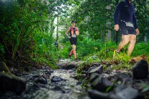 BIB: 
                            <button type="button" onclick="openModal(26447642)" class="btn btn-primary btn-sm float-right btn-popup" data-toggle="modal" data-target=".modal-high-quality">
                        <i class="fas fa-shopping-cart"></i> Add to Cart
                    </button>
                                            <button type="button" onclick="isThisMe(26447642, true)" class="btn btn-success btn-sm float-right btn-popup btn-isme hidden" data-toggle="tooltip" data-placement="bottom" title="นี่คือรูปของคุณใช่ไหม คลิกที่นี่เพื่อเอาเข้าอัลบั้ม">
                        <i class="fas fa-plus"></i> Add to album
                    </button>
                    <button type="button" onclick="isThisMe(26447642, false)" class="btn btn-warning btn-sm float-right btn-popup btn-isnotme hidden">
                        <i class="fas fa-ban"></i> Remove from album
                    </button>