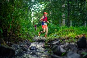 BIB: 
                            <button type="button" onclick="openModal(26446616)" class="btn btn-primary btn-sm float-right btn-popup" data-toggle="modal" data-target=".modal-high-quality">
                        <i class="fas fa-shopping-cart"></i> Add to Cart
                    </button>
                                            <button type="button" onclick="isThisMe(26446616, true)" class="btn btn-success btn-sm float-right btn-popup btn-isme hidden" data-toggle="tooltip" data-placement="bottom" title="นี่คือรูปของคุณใช่ไหม คลิกที่นี่เพื่อเอาเข้าอัลบั้ม">
                        <i class="fas fa-plus"></i> Add to album
                    </button>
                    <button type="button" onclick="isThisMe(26446616, false)" class="btn btn-warning btn-sm float-right btn-popup btn-isnotme hidden">
                        <i class="fas fa-ban"></i> Remove from album
                    </button>