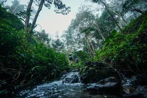 BIB: 
                            <button type="button" onclick="openModal(26501238)" class="btn btn-primary btn-sm float-right btn-popup" data-toggle="modal" data-target=".modal-high-quality">
                        <i class="fas fa-shopping-cart"></i> Add to Cart
                    </button>
                                            <button type="button" onclick="isThisMe(26501238, true)" class="btn btn-success btn-sm float-right btn-popup btn-isme hidden" data-toggle="tooltip" data-placement="bottom" title="นี่คือรูปของคุณใช่ไหม คลิกที่นี่เพื่อเอาเข้าอัลบั้ม">
                        <i class="fas fa-plus"></i> Add to album
                    </button>
                    <button type="button" onclick="isThisMe(26501238, false)" class="btn btn-warning btn-sm float-right btn-popup btn-isnotme hidden">
                        <i class="fas fa-ban"></i> Remove from album
                    </button>