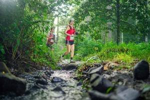 BIB: 
                            <button type="button" onclick="openModal(26447931)" class="btn btn-primary btn-sm float-right btn-popup" data-toggle="modal" data-target=".modal-high-quality">
                        <i class="fas fa-shopping-cart"></i> Add to Cart
                    </button>
                                            <button type="button" onclick="isThisMe(26447931, true)" class="btn btn-success btn-sm float-right btn-popup btn-isme hidden" data-toggle="tooltip" data-placement="bottom" title="นี่คือรูปของคุณใช่ไหม คลิกที่นี่เพื่อเอาเข้าอัลบั้ม">
                        <i class="fas fa-plus"></i> Add to album
                    </button>
                    <button type="button" onclick="isThisMe(26447931, false)" class="btn btn-warning btn-sm float-right btn-popup btn-isnotme hidden">
                        <i class="fas fa-ban"></i> Remove from album
                    </button>