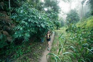 BIB: 
                            <button type="button" onclick="openModal(26501456)" class="btn btn-primary btn-sm float-right btn-popup" data-toggle="modal" data-target=".modal-high-quality">
                        <i class="fas fa-shopping-cart"></i> Add to Cart
                    </button>
                                            <button type="button" onclick="isThisMe(26501456, true)" class="btn btn-success btn-sm float-right btn-popup btn-isme hidden" data-toggle="tooltip" data-placement="bottom" title="นี่คือรูปของคุณใช่ไหม คลิกที่นี่เพื่อเอาเข้าอัลบั้ม">
                        <i class="fas fa-plus"></i> Add to album
                    </button>
                    <button type="button" onclick="isThisMe(26501456, false)" class="btn btn-warning btn-sm float-right btn-popup btn-isnotme hidden">
                        <i class="fas fa-ban"></i> Remove from album
                    </button>