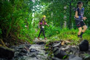 BIB: 
                            <button type="button" onclick="openModal(26448580)" class="btn btn-primary btn-sm float-right btn-popup" data-toggle="modal" data-target=".modal-high-quality">
                        <i class="fas fa-shopping-cart"></i> Add to Cart
                    </button>
                                            <button type="button" onclick="isThisMe(26448580, true)" class="btn btn-success btn-sm float-right btn-popup btn-isme hidden" data-toggle="tooltip" data-placement="bottom" title="นี่คือรูปของคุณใช่ไหม คลิกที่นี่เพื่อเอาเข้าอัลบั้ม">
                        <i class="fas fa-plus"></i> Add to album
                    </button>
                    <button type="button" onclick="isThisMe(26448580, false)" class="btn btn-warning btn-sm float-right btn-popup btn-isnotme hidden">
                        <i class="fas fa-ban"></i> Remove from album
                    </button>