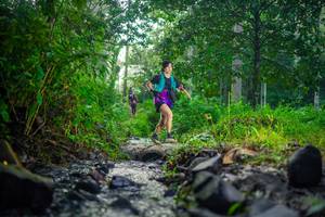 BIB: 
                            <button type="button" onclick="openModal(26448094)" class="btn btn-primary btn-sm float-right btn-popup" data-toggle="modal" data-target=".modal-high-quality">
                        <i class="fas fa-shopping-cart"></i> Add to Cart
                    </button>
                                            <button type="button" onclick="isThisMe(26448094, true)" class="btn btn-success btn-sm float-right btn-popup btn-isme hidden" data-toggle="tooltip" data-placement="bottom" title="นี่คือรูปของคุณใช่ไหม คลิกที่นี่เพื่อเอาเข้าอัลบั้ม">
                        <i class="fas fa-plus"></i> Add to album
                    </button>
                    <button type="button" onclick="isThisMe(26448094, false)" class="btn btn-warning btn-sm float-right btn-popup btn-isnotme hidden">
                        <i class="fas fa-ban"></i> Remove from album
                    </button>