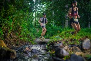 BIB: 
                            <button type="button" onclick="openModal(26446485)" class="btn btn-primary btn-sm float-right btn-popup" data-toggle="modal" data-target=".modal-high-quality">
                        <i class="fas fa-shopping-cart"></i> Add to Cart
                    </button>
                                            <button type="button" onclick="isThisMe(26446485, true)" class="btn btn-success btn-sm float-right btn-popup btn-isme hidden" data-toggle="tooltip" data-placement="bottom" title="นี่คือรูปของคุณใช่ไหม คลิกที่นี่เพื่อเอาเข้าอัลบั้ม">
                        <i class="fas fa-plus"></i> Add to album
                    </button>
                    <button type="button" onclick="isThisMe(26446485, false)" class="btn btn-warning btn-sm float-right btn-popup btn-isnotme hidden">
                        <i class="fas fa-ban"></i> Remove from album
                    </button>