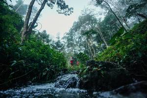 BIB: 
                            <button type="button" onclick="openModal(26501414)" class="btn btn-primary btn-sm float-right btn-popup" data-toggle="modal" data-target=".modal-high-quality">
                        <i class="fas fa-shopping-cart"></i> Add to Cart
                    </button>
                                            <button type="button" onclick="isThisMe(26501414, true)" class="btn btn-success btn-sm float-right btn-popup btn-isme hidden" data-toggle="tooltip" data-placement="bottom" title="นี่คือรูปของคุณใช่ไหม คลิกที่นี่เพื่อเอาเข้าอัลบั้ม">
                        <i class="fas fa-plus"></i> Add to album
                    </button>
                    <button type="button" onclick="isThisMe(26501414, false)" class="btn btn-warning btn-sm float-right btn-popup btn-isnotme hidden">
                        <i class="fas fa-ban"></i> Remove from album
                    </button>