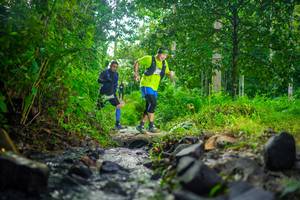 BIB: 
                            <button type="button" onclick="openModal(26448968)" class="btn btn-primary btn-sm float-right btn-popup" data-toggle="modal" data-target=".modal-high-quality">
                        <i class="fas fa-shopping-cart"></i> Add to Cart
                    </button>
                                            <button type="button" onclick="isThisMe(26448968, true)" class="btn btn-success btn-sm float-right btn-popup btn-isme hidden" data-toggle="tooltip" data-placement="bottom" title="นี่คือรูปของคุณใช่ไหม คลิกที่นี่เพื่อเอาเข้าอัลบั้ม">
                        <i class="fas fa-plus"></i> Add to album
                    </button>
                    <button type="button" onclick="isThisMe(26448968, false)" class="btn btn-warning btn-sm float-right btn-popup btn-isnotme hidden">
                        <i class="fas fa-ban"></i> Remove from album
                    </button>