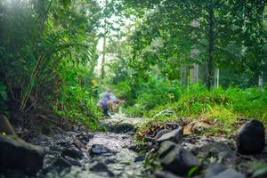 BIB: 
                            <button type="button" onclick="openModal(26447970)" class="btn btn-primary btn-sm float-right btn-popup" data-toggle="modal" data-target=".modal-high-quality">
                        <i class="fas fa-shopping-cart"></i> Add to Cart
                    </button>
                                            <button type="button" onclick="isThisMe(26447970, true)" class="btn btn-success btn-sm float-right btn-popup btn-isme hidden" data-toggle="tooltip" data-placement="bottom" title="นี่คือรูปของคุณใช่ไหม คลิกที่นี่เพื่อเอาเข้าอัลบั้ม">
                        <i class="fas fa-plus"></i> Add to album
                    </button>
                    <button type="button" onclick="isThisMe(26447970, false)" class="btn btn-warning btn-sm float-right btn-popup btn-isnotme hidden">
                        <i class="fas fa-ban"></i> Remove from album
                    </button>