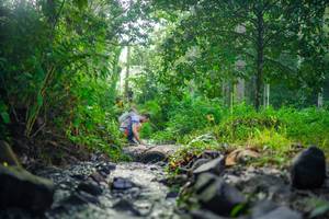 BIB: 
                            <button type="button" onclick="openModal(26447991)" class="btn btn-primary btn-sm float-right btn-popup" data-toggle="modal" data-target=".modal-high-quality">
                        <i class="fas fa-shopping-cart"></i> Add to Cart
                    </button>
                                            <button type="button" onclick="isThisMe(26447991, true)" class="btn btn-success btn-sm float-right btn-popup btn-isme hidden" data-toggle="tooltip" data-placement="bottom" title="นี่คือรูปของคุณใช่ไหม คลิกที่นี่เพื่อเอาเข้าอัลบั้ม">
                        <i class="fas fa-plus"></i> Add to album
                    </button>
                    <button type="button" onclick="isThisMe(26447991, false)" class="btn btn-warning btn-sm float-right btn-popup btn-isnotme hidden">
                        <i class="fas fa-ban"></i> Remove from album
                    </button>