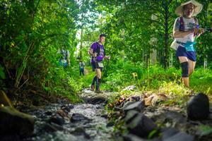 BIB: 
                            <button type="button" onclick="openModal(26449612)" class="btn btn-primary btn-sm float-right btn-popup" data-toggle="modal" data-target=".modal-high-quality">
                        <i class="fas fa-shopping-cart"></i> Add to Cart
                    </button>
                                            <button type="button" onclick="isThisMe(26449612, true)" class="btn btn-success btn-sm float-right btn-popup btn-isme hidden" data-toggle="tooltip" data-placement="bottom" title="นี่คือรูปของคุณใช่ไหม คลิกที่นี่เพื่อเอาเข้าอัลบั้ม">
                        <i class="fas fa-plus"></i> Add to album
                    </button>
                    <button type="button" onclick="isThisMe(26449612, false)" class="btn btn-warning btn-sm float-right btn-popup btn-isnotme hidden">
                        <i class="fas fa-ban"></i> Remove from album
                    </button>