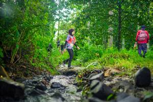 BIB: 
                            <button type="button" onclick="openModal(26448783)" class="btn btn-primary btn-sm float-right btn-popup" data-toggle="modal" data-target=".modal-high-quality">
                        <i class="fas fa-shopping-cart"></i> Add to Cart
                    </button>
                                            <button type="button" onclick="isThisMe(26448783, true)" class="btn btn-success btn-sm float-right btn-popup btn-isme hidden" data-toggle="tooltip" data-placement="bottom" title="นี่คือรูปของคุณใช่ไหม คลิกที่นี่เพื่อเอาเข้าอัลบั้ม">
                        <i class="fas fa-plus"></i> Add to album
                    </button>
                    <button type="button" onclick="isThisMe(26448783, false)" class="btn btn-warning btn-sm float-right btn-popup btn-isnotme hidden">
                        <i class="fas fa-ban"></i> Remove from album
                    </button>