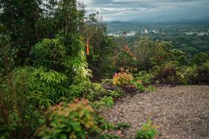 BIB: 
                            <button type="button" onclick="openModal(26213496)" class="btn btn-primary btn-sm float-right btn-popup" data-toggle="modal" data-target=".modal-high-quality">
                        <i class="fas fa-shopping-cart"></i> Add to Cart
                    </button>
                                            <button type="button" onclick="isThisMe(26213496, true)" class="btn btn-success btn-sm float-right btn-popup btn-isme hidden" data-toggle="tooltip" data-placement="bottom" title="นี่คือรูปของคุณใช่ไหม คลิกที่นี่เพื่อเอาเข้าอัลบั้ม">
                        <i class="fas fa-plus"></i> Add to album
                    </button>
                    <button type="button" onclick="isThisMe(26213496, false)" class="btn btn-warning btn-sm float-right btn-popup btn-isnotme hidden">
                        <i class="fas fa-ban"></i> Remove from album
                    </button>