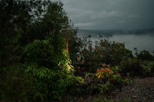 BIB: 
                            <button type="button" onclick="openModal(26213447)" class="btn btn-primary btn-sm float-right btn-popup" data-toggle="modal" data-target=".modal-high-quality">
                        <i class="fas fa-shopping-cart"></i> Add to Cart
                    </button>
                                            <button type="button" onclick="isThisMe(26213447, true)" class="btn btn-success btn-sm float-right btn-popup btn-isme hidden" data-toggle="tooltip" data-placement="bottom" title="นี่คือรูปของคุณใช่ไหม คลิกที่นี่เพื่อเอาเข้าอัลบั้ม">
                        <i class="fas fa-plus"></i> Add to album
                    </button>
                    <button type="button" onclick="isThisMe(26213447, false)" class="btn btn-warning btn-sm float-right btn-popup btn-isnotme hidden">
                        <i class="fas fa-ban"></i> Remove from album
                    </button>