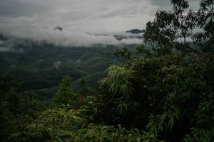 BIB: 
                            <button type="button" onclick="openModal(26213406)" class="btn btn-primary btn-sm float-right btn-popup" data-toggle="modal" data-target=".modal-high-quality">
                        <i class="fas fa-shopping-cart"></i> Add to Cart
                    </button>
                                            <button type="button" onclick="isThisMe(26213406, true)" class="btn btn-success btn-sm float-right btn-popup btn-isme hidden" data-toggle="tooltip" data-placement="bottom" title="นี่คือรูปของคุณใช่ไหม คลิกที่นี่เพื่อเอาเข้าอัลบั้ม">
                        <i class="fas fa-plus"></i> Add to album
                    </button>
                    <button type="button" onclick="isThisMe(26213406, false)" class="btn btn-warning btn-sm float-right btn-popup btn-isnotme hidden">
                        <i class="fas fa-ban"></i> Remove from album
                    </button>