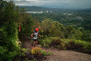 BIB: 
                            <button type="button" onclick="openModal(26213528)" class="btn btn-primary btn-sm float-right btn-popup" data-toggle="modal" data-target=".modal-high-quality">
                        <i class="fas fa-shopping-cart"></i> Add to Cart
                    </button>
                                            <button type="button" onclick="isThisMe(26213528, true)" class="btn btn-success btn-sm float-right btn-popup btn-isme hidden" data-toggle="tooltip" data-placement="bottom" title="นี่คือรูปของคุณใช่ไหม คลิกที่นี่เพื่อเอาเข้าอัลบั้ม">
                        <i class="fas fa-plus"></i> Add to album
                    </button>
                    <button type="button" onclick="isThisMe(26213528, false)" class="btn btn-warning btn-sm float-right btn-popup btn-isnotme hidden">
                        <i class="fas fa-ban"></i> Remove from album
                    </button>