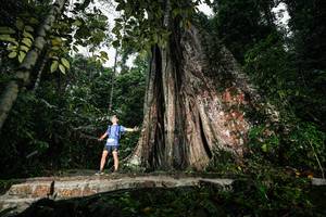 BIB: 
                            <button type="button" onclick="openModal(26261443)" class="btn btn-primary btn-sm float-right btn-popup" data-toggle="modal" data-target=".modal-high-quality">
                        <i class="fas fa-shopping-cart"></i> Add to Cart
                    </button>
                                            <button type="button" onclick="isThisMe(26261443, true)" class="btn btn-success btn-sm float-right btn-popup btn-isme hidden" data-toggle="tooltip" data-placement="bottom" title="นี่คือรูปของคุณใช่ไหม คลิกที่นี่เพื่อเอาเข้าอัลบั้ม">
                        <i class="fas fa-plus"></i> Add to album
                    </button>
                    <button type="button" onclick="isThisMe(26261443, false)" class="btn btn-warning btn-sm float-right btn-popup btn-isnotme hidden">
                        <i class="fas fa-ban"></i> Remove from album
                    </button>