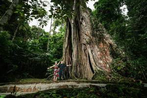 BIB: 
                            <button type="button" onclick="openModal(26261201)" class="btn btn-primary btn-sm float-right btn-popup" data-toggle="modal" data-target=".modal-high-quality">
                        <i class="fas fa-shopping-cart"></i> Add to Cart
                    </button>
                                            <button type="button" onclick="isThisMe(26261201, true)" class="btn btn-success btn-sm float-right btn-popup btn-isme hidden" data-toggle="tooltip" data-placement="bottom" title="นี่คือรูปของคุณใช่ไหม คลิกที่นี่เพื่อเอาเข้าอัลบั้ม">
                        <i class="fas fa-plus"></i> Add to album
                    </button>
                    <button type="button" onclick="isThisMe(26261201, false)" class="btn btn-warning btn-sm float-right btn-popup btn-isnotme hidden">
                        <i class="fas fa-ban"></i> Remove from album
                    </button>