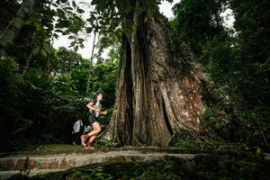 BIB: 
                            <button type="button" onclick="openModal(26261314)" class="btn btn-primary btn-sm float-right btn-popup" data-toggle="modal" data-target=".modal-high-quality">
                        <i class="fas fa-shopping-cart"></i> Add to Cart
                    </button>
                                            <button type="button" onclick="isThisMe(26261314, true)" class="btn btn-success btn-sm float-right btn-popup btn-isme hidden" data-toggle="tooltip" data-placement="bottom" title="นี่คือรูปของคุณใช่ไหม คลิกที่นี่เพื่อเอาเข้าอัลบั้ม">
                        <i class="fas fa-plus"></i> Add to album
                    </button>
                    <button type="button" onclick="isThisMe(26261314, false)" class="btn btn-warning btn-sm float-right btn-popup btn-isnotme hidden">
                        <i class="fas fa-ban"></i> Remove from album
                    </button>