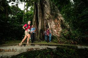 BIB: 
                            <button type="button" onclick="openModal(26261154)" class="btn btn-primary btn-sm float-right btn-popup" data-toggle="modal" data-target=".modal-high-quality">
                        <i class="fas fa-shopping-cart"></i> Add to Cart
                    </button>
                                            <button type="button" onclick="isThisMe(26261154, true)" class="btn btn-success btn-sm float-right btn-popup btn-isme hidden" data-toggle="tooltip" data-placement="bottom" title="นี่คือรูปของคุณใช่ไหม คลิกที่นี่เพื่อเอาเข้าอัลบั้ม">
                        <i class="fas fa-plus"></i> Add to album
                    </button>
                    <button type="button" onclick="isThisMe(26261154, false)" class="btn btn-warning btn-sm float-right btn-popup btn-isnotme hidden">
                        <i class="fas fa-ban"></i> Remove from album
                    </button>