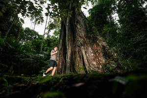 BIB: 
                            <button type="button" onclick="openModal(26261012)" class="btn btn-primary btn-sm float-right btn-popup" data-toggle="modal" data-target=".modal-high-quality">
                        <i class="fas fa-shopping-cart"></i> Add to Cart
                    </button>
                                            <button type="button" onclick="isThisMe(26261012, true)" class="btn btn-success btn-sm float-right btn-popup btn-isme hidden" data-toggle="tooltip" data-placement="bottom" title="นี่คือรูปของคุณใช่ไหม คลิกที่นี่เพื่อเอาเข้าอัลบั้ม">
                        <i class="fas fa-plus"></i> Add to album
                    </button>
                    <button type="button" onclick="isThisMe(26261012, false)" class="btn btn-warning btn-sm float-right btn-popup btn-isnotme hidden">
                        <i class="fas fa-ban"></i> Remove from album
                    </button>