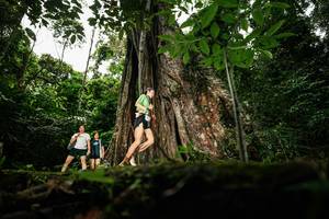 BIB: 
                            <button type="button" onclick="openModal(26260534)" class="btn btn-primary btn-sm float-right btn-popup" data-toggle="modal" data-target=".modal-high-quality">
                        <i class="fas fa-shopping-cart"></i> Add to Cart
                    </button>
                                            <button type="button" onclick="isThisMe(26260534, true)" class="btn btn-success btn-sm float-right btn-popup btn-isme hidden" data-toggle="tooltip" data-placement="bottom" title="นี่คือรูปของคุณใช่ไหม คลิกที่นี่เพื่อเอาเข้าอัลบั้ม">
                        <i class="fas fa-plus"></i> Add to album
                    </button>
                    <button type="button" onclick="isThisMe(26260534, false)" class="btn btn-warning btn-sm float-right btn-popup btn-isnotme hidden">
                        <i class="fas fa-ban"></i> Remove from album
                    </button>