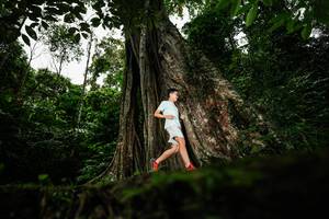 BIB: 
                            <button type="button" onclick="openModal(26260480)" class="btn btn-primary btn-sm float-right btn-popup" data-toggle="modal" data-target=".modal-high-quality">
                        <i class="fas fa-shopping-cart"></i> Add to Cart
                    </button>
                                            <button type="button" onclick="isThisMe(26260480, true)" class="btn btn-success btn-sm float-right btn-popup btn-isme hidden" data-toggle="tooltip" data-placement="bottom" title="นี่คือรูปของคุณใช่ไหม คลิกที่นี่เพื่อเอาเข้าอัลบั้ม">
                        <i class="fas fa-plus"></i> Add to album
                    </button>
                    <button type="button" onclick="isThisMe(26260480, false)" class="btn btn-warning btn-sm float-right btn-popup btn-isnotme hidden">
                        <i class="fas fa-ban"></i> Remove from album
                    </button>