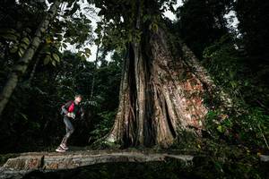 BIB: 
                            <button type="button" onclick="openModal(26261509)" class="btn btn-primary btn-sm float-right btn-popup" data-toggle="modal" data-target=".modal-high-quality">
                        <i class="fas fa-shopping-cart"></i> Add to Cart
                    </button>
                                            <button type="button" onclick="isThisMe(26261509, true)" class="btn btn-success btn-sm float-right btn-popup btn-isme hidden" data-toggle="tooltip" data-placement="bottom" title="นี่คือรูปของคุณใช่ไหม คลิกที่นี่เพื่อเอาเข้าอัลบั้ม">
                        <i class="fas fa-plus"></i> Add to album
                    </button>
                    <button type="button" onclick="isThisMe(26261509, false)" class="btn btn-warning btn-sm float-right btn-popup btn-isnotme hidden">
                        <i class="fas fa-ban"></i> Remove from album
                    </button>