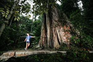 BIB: 
                            <button type="button" onclick="openModal(26261445)" class="btn btn-primary btn-sm float-right btn-popup" data-toggle="modal" data-target=".modal-high-quality">
                        <i class="fas fa-shopping-cart"></i> Add to Cart
                    </button>
                                            <button type="button" onclick="isThisMe(26261445, true)" class="btn btn-success btn-sm float-right btn-popup btn-isme hidden" data-toggle="tooltip" data-placement="bottom" title="นี่คือรูปของคุณใช่ไหม คลิกที่นี่เพื่อเอาเข้าอัลบั้ม">
                        <i class="fas fa-plus"></i> Add to album
                    </button>
                    <button type="button" onclick="isThisMe(26261445, false)" class="btn btn-warning btn-sm float-right btn-popup btn-isnotme hidden">
                        <i class="fas fa-ban"></i> Remove from album
                    </button>