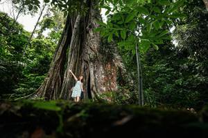 BIB: 
                            <button type="button" onclick="openModal(26260743)" class="btn btn-primary btn-sm float-right btn-popup" data-toggle="modal" data-target=".modal-high-quality">
                        <i class="fas fa-shopping-cart"></i> Add to Cart
                    </button>
                                            <button type="button" onclick="isThisMe(26260743, true)" class="btn btn-success btn-sm float-right btn-popup btn-isme hidden" data-toggle="tooltip" data-placement="bottom" title="นี่คือรูปของคุณใช่ไหม คลิกที่นี่เพื่อเอาเข้าอัลบั้ม">
                        <i class="fas fa-plus"></i> Add to album
                    </button>
                    <button type="button" onclick="isThisMe(26260743, false)" class="btn btn-warning btn-sm float-right btn-popup btn-isnotme hidden">
                        <i class="fas fa-ban"></i> Remove from album
                    </button>