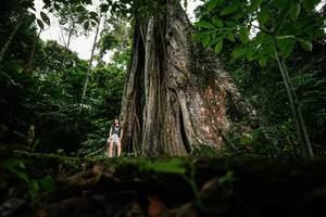 BIB: 
                            <button type="button" onclick="openModal(26260630)" class="btn btn-primary btn-sm float-right btn-popup" data-toggle="modal" data-target=".modal-high-quality">
                        <i class="fas fa-shopping-cart"></i> Add to Cart
                    </button>
                                            <button type="button" onclick="isThisMe(26260630, true)" class="btn btn-success btn-sm float-right btn-popup btn-isme hidden" data-toggle="tooltip" data-placement="bottom" title="นี่คือรูปของคุณใช่ไหม คลิกที่นี่เพื่อเอาเข้าอัลบั้ม">
                        <i class="fas fa-plus"></i> Add to album
                    </button>
                    <button type="button" onclick="isThisMe(26260630, false)" class="btn btn-warning btn-sm float-right btn-popup btn-isnotme hidden">
                        <i class="fas fa-ban"></i> Remove from album
                    </button>