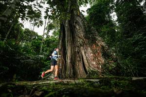 BIB: 
                            <button type="button" onclick="openModal(26260910)" class="btn btn-primary btn-sm float-right btn-popup" data-toggle="modal" data-target=".modal-high-quality">
                        <i class="fas fa-shopping-cart"></i> Add to Cart
                    </button>
                                            <button type="button" onclick="isThisMe(26260910, true)" class="btn btn-success btn-sm float-right btn-popup btn-isme hidden" data-toggle="tooltip" data-placement="bottom" title="นี่คือรูปของคุณใช่ไหม คลิกที่นี่เพื่อเอาเข้าอัลบั้ม">
                        <i class="fas fa-plus"></i> Add to album
                    </button>
                    <button type="button" onclick="isThisMe(26260910, false)" class="btn btn-warning btn-sm float-right btn-popup btn-isnotme hidden">
                        <i class="fas fa-ban"></i> Remove from album
                    </button>