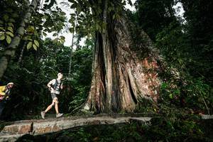 BIB: 
                            <button type="button" onclick="openModal(26261478)" class="btn btn-primary btn-sm float-right btn-popup" data-toggle="modal" data-target=".modal-high-quality">
                        <i class="fas fa-shopping-cart"></i> Add to Cart
                    </button>
                                            <button type="button" onclick="isThisMe(26261478, true)" class="btn btn-success btn-sm float-right btn-popup btn-isme hidden" data-toggle="tooltip" data-placement="bottom" title="นี่คือรูปของคุณใช่ไหม คลิกที่นี่เพื่อเอาเข้าอัลบั้ม">
                        <i class="fas fa-plus"></i> Add to album
                    </button>
                    <button type="button" onclick="isThisMe(26261478, false)" class="btn btn-warning btn-sm float-right btn-popup btn-isnotme hidden">
                        <i class="fas fa-ban"></i> Remove from album
                    </button>