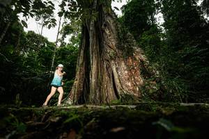 BIB: 
                            <button type="button" onclick="openModal(26260963)" class="btn btn-primary btn-sm float-right btn-popup" data-toggle="modal" data-target=".modal-high-quality">
                        <i class="fas fa-shopping-cart"></i> Add to Cart
                    </button>
                                            <button type="button" onclick="isThisMe(26260963, true)" class="btn btn-success btn-sm float-right btn-popup btn-isme hidden" data-toggle="tooltip" data-placement="bottom" title="นี่คือรูปของคุณใช่ไหม คลิกที่นี่เพื่อเอาเข้าอัลบั้ม">
                        <i class="fas fa-plus"></i> Add to album
                    </button>
                    <button type="button" onclick="isThisMe(26260963, false)" class="btn btn-warning btn-sm float-right btn-popup btn-isnotme hidden">
                        <i class="fas fa-ban"></i> Remove from album
                    </button>