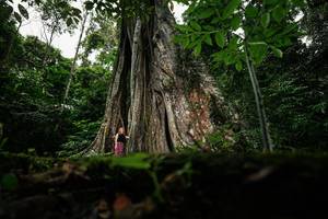 BIB: 
                            <button type="button" onclick="openModal(26260684)" class="btn btn-primary btn-sm float-right btn-popup" data-toggle="modal" data-target=".modal-high-quality">
                        <i class="fas fa-shopping-cart"></i> Add to Cart
                    </button>
                                            <button type="button" onclick="isThisMe(26260684, true)" class="btn btn-success btn-sm float-right btn-popup btn-isme hidden" data-toggle="tooltip" data-placement="bottom" title="นี่คือรูปของคุณใช่ไหม คลิกที่นี่เพื่อเอาเข้าอัลบั้ม">
                        <i class="fas fa-plus"></i> Add to album
                    </button>
                    <button type="button" onclick="isThisMe(26260684, false)" class="btn btn-warning btn-sm float-right btn-popup btn-isnotme hidden">
                        <i class="fas fa-ban"></i> Remove from album
                    </button>