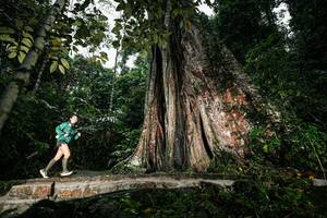 BIB: 
                            <button type="button" onclick="openModal(26261459)" class="btn btn-primary btn-sm float-right btn-popup" data-toggle="modal" data-target=".modal-high-quality">
                        <i class="fas fa-shopping-cart"></i> Add to Cart
                    </button>
                                            <button type="button" onclick="isThisMe(26261459, true)" class="btn btn-success btn-sm float-right btn-popup btn-isme hidden" data-toggle="tooltip" data-placement="bottom" title="นี่คือรูปของคุณใช่ไหม คลิกที่นี่เพื่อเอาเข้าอัลบั้ม">
                        <i class="fas fa-plus"></i> Add to album
                    </button>
                    <button type="button" onclick="isThisMe(26261459, false)" class="btn btn-warning btn-sm float-right btn-popup btn-isnotme hidden">
                        <i class="fas fa-ban"></i> Remove from album
                    </button>