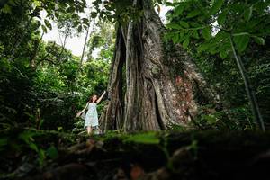 BIB: 
                            <button type="button" onclick="openModal(26260778)" class="btn btn-primary btn-sm float-right btn-popup" data-toggle="modal" data-target=".modal-high-quality">
                        <i class="fas fa-shopping-cart"></i> Add to Cart
                    </button>
                                            <button type="button" onclick="isThisMe(26260778, true)" class="btn btn-success btn-sm float-right btn-popup btn-isme hidden" data-toggle="tooltip" data-placement="bottom" title="นี่คือรูปของคุณใช่ไหม คลิกที่นี่เพื่อเอาเข้าอัลบั้ม">
                        <i class="fas fa-plus"></i> Add to album
                    </button>
                    <button type="button" onclick="isThisMe(26260778, false)" class="btn btn-warning btn-sm float-right btn-popup btn-isnotme hidden">
                        <i class="fas fa-ban"></i> Remove from album
                    </button>