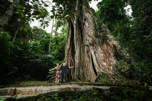 BIB: 
                            <button type="button" onclick="openModal(26261188)" class="btn btn-primary btn-sm float-right btn-popup" data-toggle="modal" data-target=".modal-high-quality">
                        <i class="fas fa-shopping-cart"></i> Add to Cart
                    </button>
                                            <button type="button" onclick="isThisMe(26261188, true)" class="btn btn-success btn-sm float-right btn-popup btn-isme hidden" data-toggle="tooltip" data-placement="bottom" title="นี่คือรูปของคุณใช่ไหม คลิกที่นี่เพื่อเอาเข้าอัลบั้ม">
                        <i class="fas fa-plus"></i> Add to album
                    </button>
                    <button type="button" onclick="isThisMe(26261188, false)" class="btn btn-warning btn-sm float-right btn-popup btn-isnotme hidden">
                        <i class="fas fa-ban"></i> Remove from album
                    </button>