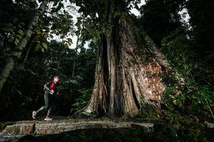 BIB: 
                            <button type="button" onclick="openModal(26261511)" class="btn btn-primary btn-sm float-right btn-popup" data-toggle="modal" data-target=".modal-high-quality">
                        <i class="fas fa-shopping-cart"></i> Add to Cart
                    </button>
                                            <button type="button" onclick="isThisMe(26261511, true)" class="btn btn-success btn-sm float-right btn-popup btn-isme hidden" data-toggle="tooltip" data-placement="bottom" title="นี่คือรูปของคุณใช่ไหม คลิกที่นี่เพื่อเอาเข้าอัลบั้ม">
                        <i class="fas fa-plus"></i> Add to album
                    </button>
                    <button type="button" onclick="isThisMe(26261511, false)" class="btn btn-warning btn-sm float-right btn-popup btn-isnotme hidden">
                        <i class="fas fa-ban"></i> Remove from album
                    </button>