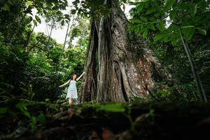 BIB: 
                            <button type="button" onclick="openModal(26260804)" class="btn btn-primary btn-sm float-right btn-popup" data-toggle="modal" data-target=".modal-high-quality">
                        <i class="fas fa-shopping-cart"></i> Add to Cart
                    </button>
                                            <button type="button" onclick="isThisMe(26260804, true)" class="btn btn-success btn-sm float-right btn-popup btn-isme hidden" data-toggle="tooltip" data-placement="bottom" title="นี่คือรูปของคุณใช่ไหม คลิกที่นี่เพื่อเอาเข้าอัลบั้ม">
                        <i class="fas fa-plus"></i> Add to album
                    </button>
                    <button type="button" onclick="isThisMe(26260804, false)" class="btn btn-warning btn-sm float-right btn-popup btn-isnotme hidden">
                        <i class="fas fa-ban"></i> Remove from album
                    </button>