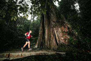 BIB: 
                            <button type="button" onclick="openModal(26261386)" class="btn btn-primary btn-sm float-right btn-popup" data-toggle="modal" data-target=".modal-high-quality">
                        <i class="fas fa-shopping-cart"></i> Add to Cart
                    </button>
                                            <button type="button" onclick="isThisMe(26261386, true)" class="btn btn-success btn-sm float-right btn-popup btn-isme hidden" data-toggle="tooltip" data-placement="bottom" title="นี่คือรูปของคุณใช่ไหม คลิกที่นี่เพื่อเอาเข้าอัลบั้ม">
                        <i class="fas fa-plus"></i> Add to album
                    </button>
                    <button type="button" onclick="isThisMe(26261386, false)" class="btn btn-warning btn-sm float-right btn-popup btn-isnotme hidden">
                        <i class="fas fa-ban"></i> Remove from album
                    </button>