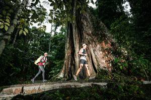 BIB: 
                            <button type="button" onclick="openModal(26261483)" class="btn btn-primary btn-sm float-right btn-popup" data-toggle="modal" data-target=".modal-high-quality">
                        <i class="fas fa-shopping-cart"></i> Add to Cart
                    </button>
                                            <button type="button" onclick="isThisMe(26261483, true)" class="btn btn-success btn-sm float-right btn-popup btn-isme hidden" data-toggle="tooltip" data-placement="bottom" title="นี่คือรูปของคุณใช่ไหม คลิกที่นี่เพื่อเอาเข้าอัลบั้ม">
                        <i class="fas fa-plus"></i> Add to album
                    </button>
                    <button type="button" onclick="isThisMe(26261483, false)" class="btn btn-warning btn-sm float-right btn-popup btn-isnotme hidden">
                        <i class="fas fa-ban"></i> Remove from album
                    </button>