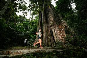 BIB: 
                            <button type="button" onclick="openModal(26261315)" class="btn btn-primary btn-sm float-right btn-popup" data-toggle="modal" data-target=".modal-high-quality">
                        <i class="fas fa-shopping-cart"></i> Add to Cart
                    </button>
                                            <button type="button" onclick="isThisMe(26261315, true)" class="btn btn-success btn-sm float-right btn-popup btn-isme hidden" data-toggle="tooltip" data-placement="bottom" title="นี่คือรูปของคุณใช่ไหม คลิกที่นี่เพื่อเอาเข้าอัลบั้ม">
                        <i class="fas fa-plus"></i> Add to album
                    </button>
                    <button type="button" onclick="isThisMe(26261315, false)" class="btn btn-warning btn-sm float-right btn-popup btn-isnotme hidden">
                        <i class="fas fa-ban"></i> Remove from album
                    </button>