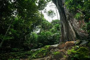 BIB: 
                            <button type="button" onclick="openModal(26260443)" class="btn btn-primary btn-sm float-right btn-popup" data-toggle="modal" data-target=".modal-high-quality">
                        <i class="fas fa-shopping-cart"></i> Add to Cart
                    </button>
                                            <button type="button" onclick="isThisMe(26260443, true)" class="btn btn-success btn-sm float-right btn-popup btn-isme hidden" data-toggle="tooltip" data-placement="bottom" title="นี่คือรูปของคุณใช่ไหม คลิกที่นี่เพื่อเอาเข้าอัลบั้ม">
                        <i class="fas fa-plus"></i> Add to album
                    </button>
                    <button type="button" onclick="isThisMe(26260443, false)" class="btn btn-warning btn-sm float-right btn-popup btn-isnotme hidden">
                        <i class="fas fa-ban"></i> Remove from album
                    </button>